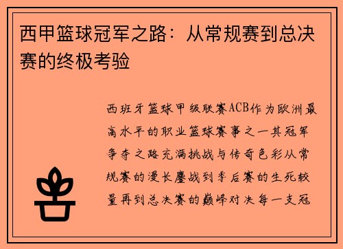 西甲篮球冠军之路：从常规赛到总决赛的终极考验