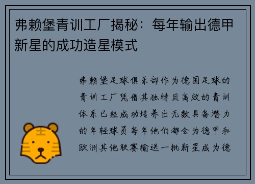 弗赖堡青训工厂揭秘：每年输出德甲新星的成功造星模式